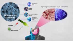 OsteoPur: The Living Scaffold and the Dawn of Regenerative Reality